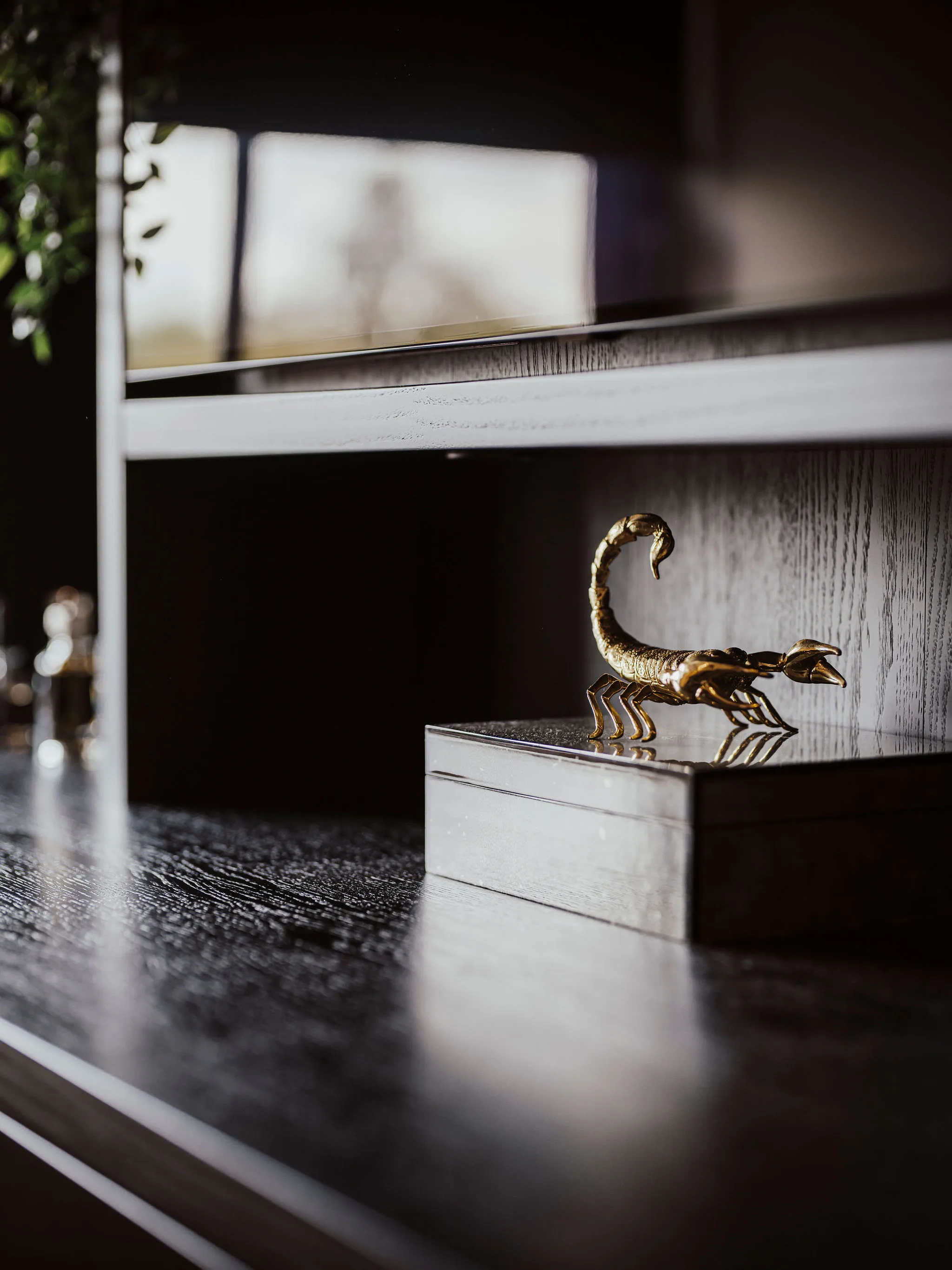 Detail van de open-nerf structuur van het zwarte eikenhout met gouden schorpioen
